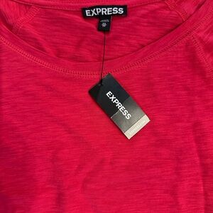 Express perfect pink Long Sleeve Dress